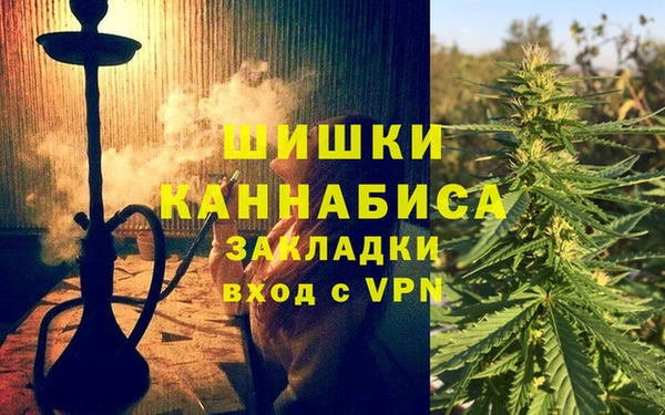 твердый Богданович