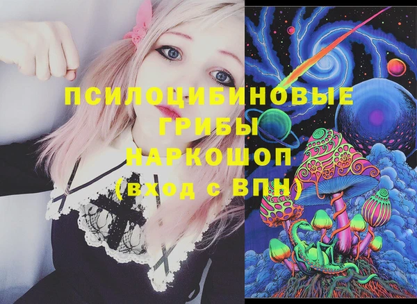 твердый Богданович
