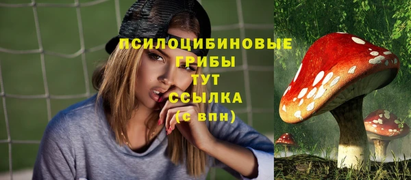 твердый Богданович