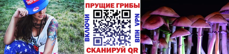 Псилоцибиновые грибы Magic Shrooms  Реж 