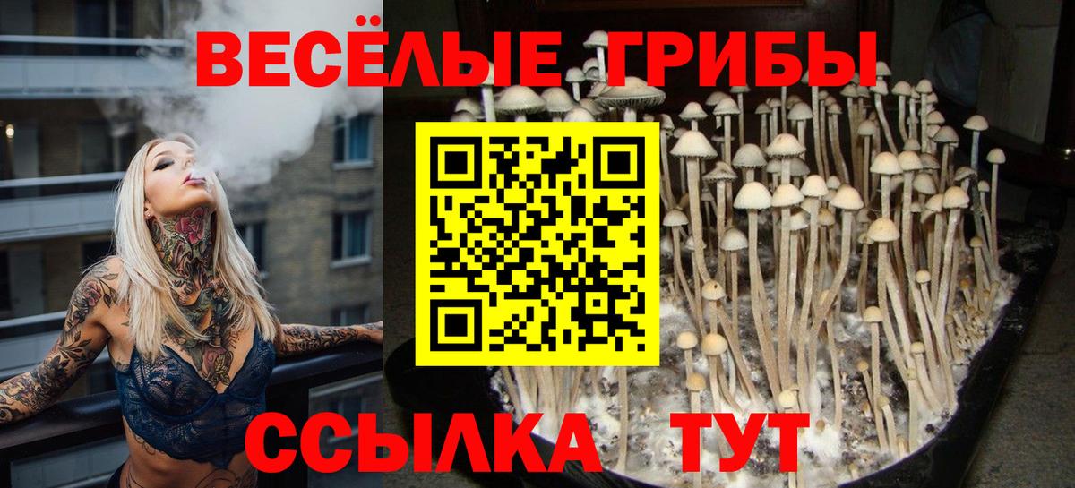Реж  Галлюциногенные грибы прущие грибы  Галлюциногенные грибы мухоморы  Вход с VPN 