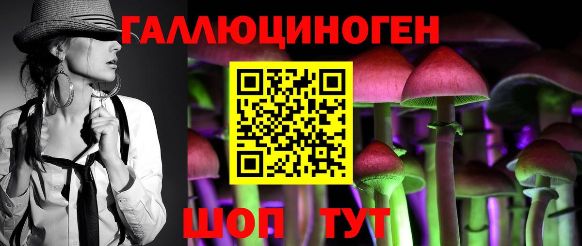 Псилоцибиновые грибы Psilocybine cubensis Реж